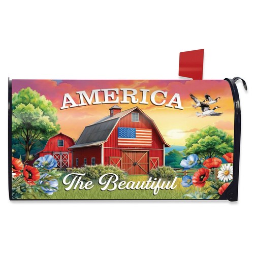 Briarwood lane summer american - summer,