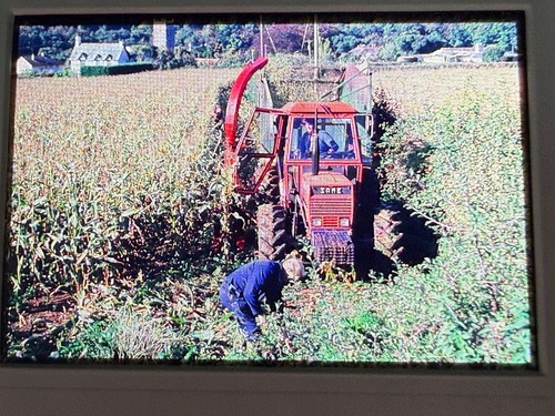 Same tractor working field - in,