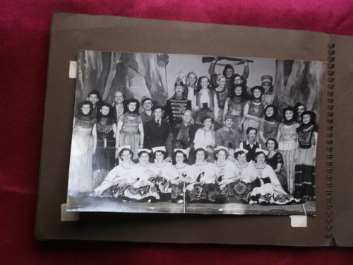 Photograph album buffalo - photograph,