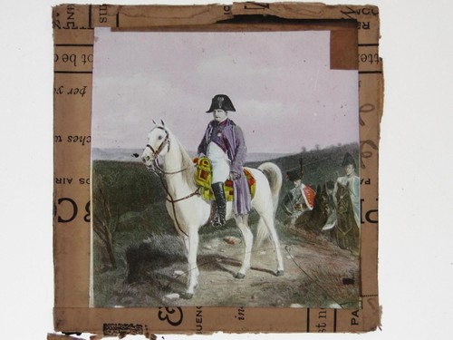 Napoleon bonaparte white horse - bonaparte,