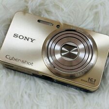 Sony Cyber-Shot DSC-W570 16MP 5x Zoom HD Video Digital Camera English Languages