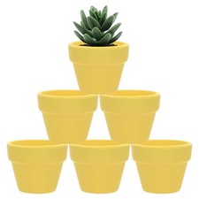 6-Pack Mini Terracotta Pots