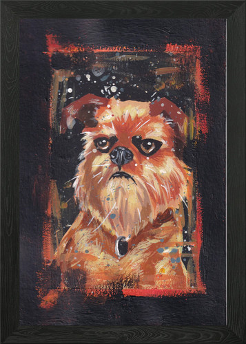 Angry griffon bruxellois - angry,