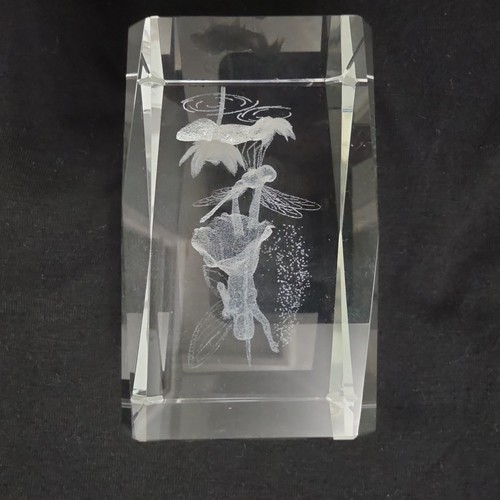 Solid glass laser etched - 3d,
