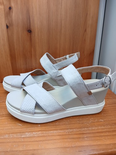 Scholls scenario light - dr,