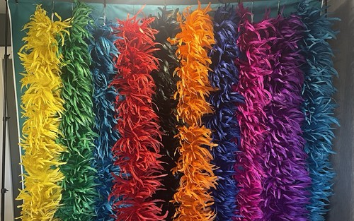 Feather boas rooster - feather,