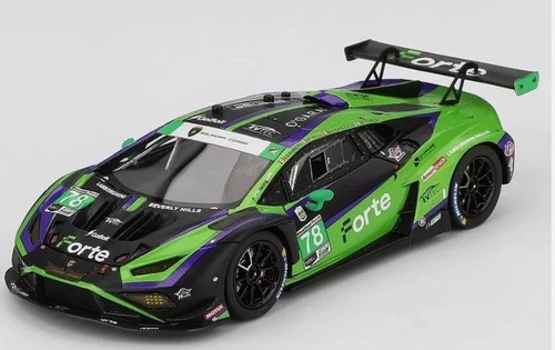 Tsm model 2024 daytona - tsm,