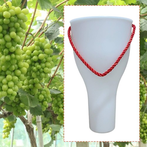 Grape dipping cup gardening - grape,