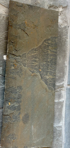 Large stone slab with - stone, dendrite