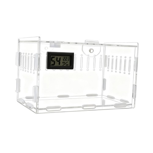 Acrylic spider enclosure - acrylic,