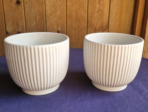 Ribbed white indoor plant - ribbed,