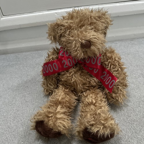 Debenhams monty bear teddy - ,