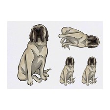 4 x 'English Mastiff' Temporary Tattoos / Transfers (TO00044793)