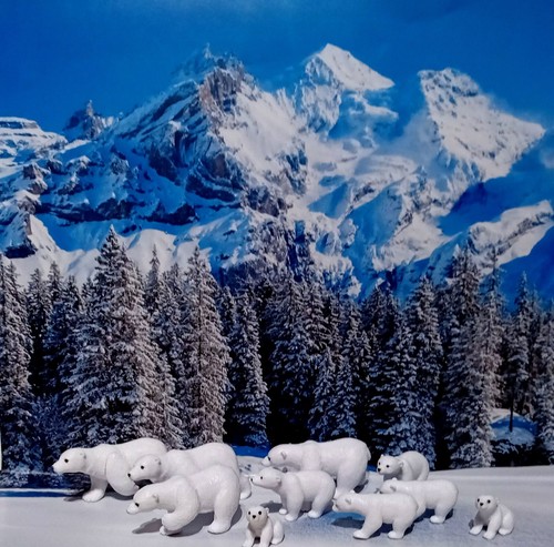 Ten resin polar bear - polar, figures