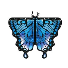 Butterfly Wings Shawl Fairy
