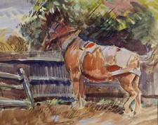 Original Watercolour, 'Study of a heavy horse', c1920, Robert G.D. Alexander