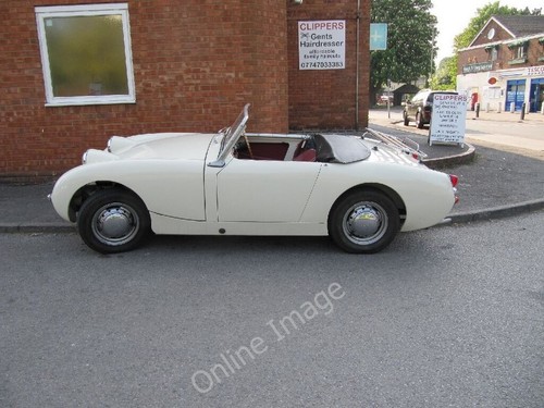 Photo 6x4 frogeye the - 6x4,