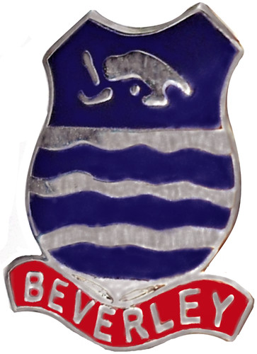 Beverley town small pin - town,