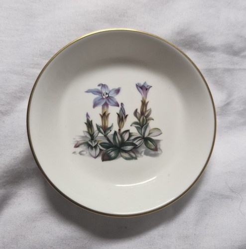 Vintage royal worcester - vintage, fine