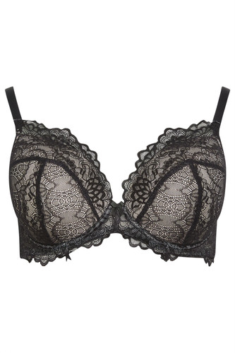 Lace shirt bra - m&co,