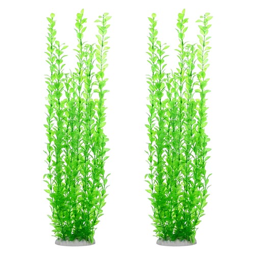 Pack tall aquarium plants - aquarium,