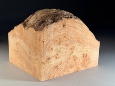 Spalted Live Edge Burr Elm