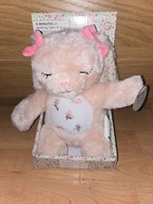 teddy bear with music