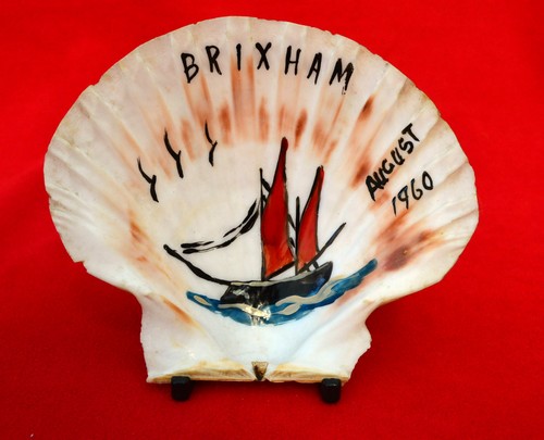 Rare sea shell sail - sea, boat