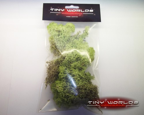 Lichen foliage light green - light,