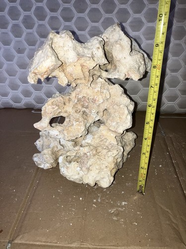 Rk8 ocean rock for tropical - rock,