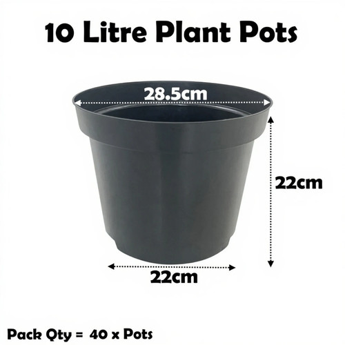 Litre black plant - 10,