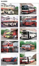 10 bus photographs (6" x 4")