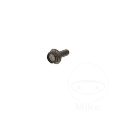 Original Brake Disc Bolt M6 1