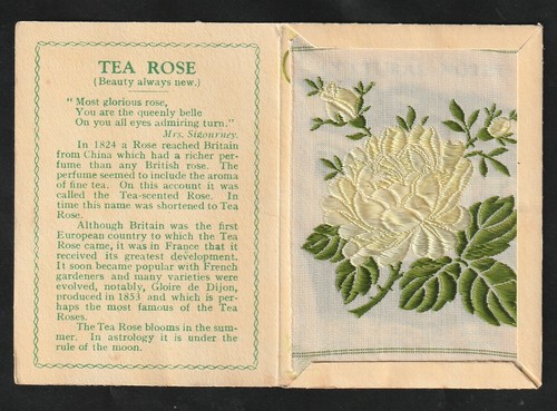 Wix kensitas tobacco - tobacco, silk