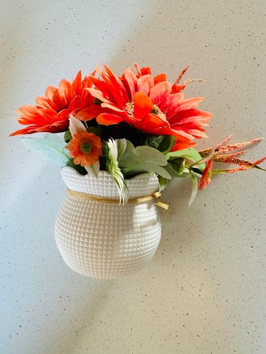 Flower pots indoor - flower,
