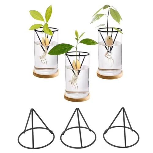 3pcs cone shaped - cone-shaped, avocado