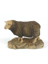 Rare Border Fine Arts Herdwick