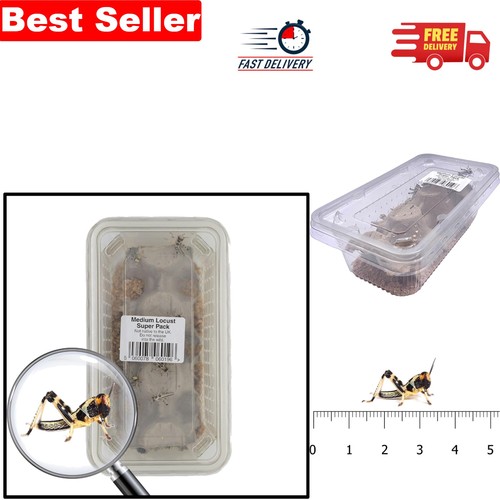 Pack medium locusts 20mm - 25,