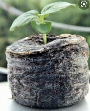 Coco coir discs compost - coir, discs/compost