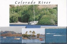 Colorado River Postcard 5th Largest U.S. Water Sports Boating Skiing Free Ship