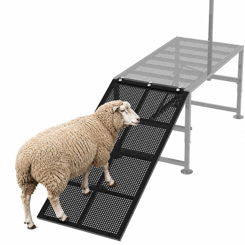 Goat stand ramp use - ramp, for