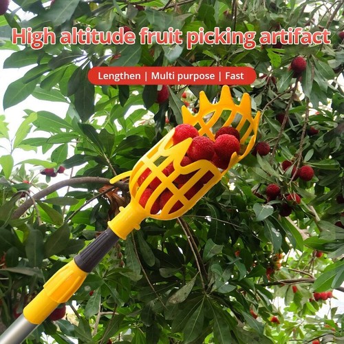 Fruit picker head - head, basket