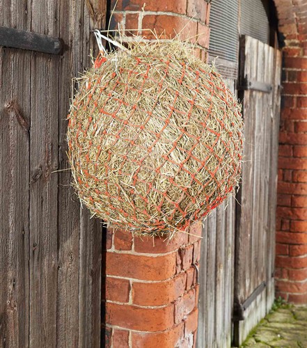 Premier equine hay haylage - equine,