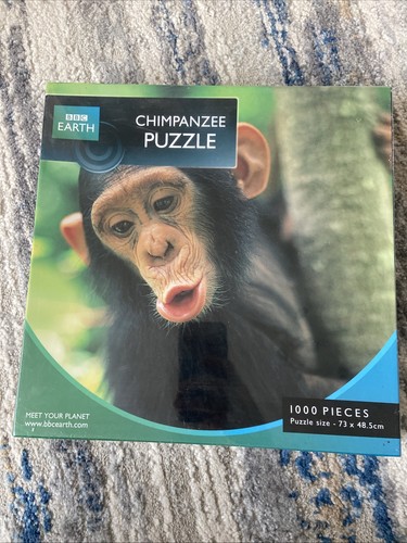 Bbc earth chimpanzee - chimpanzee, 1000