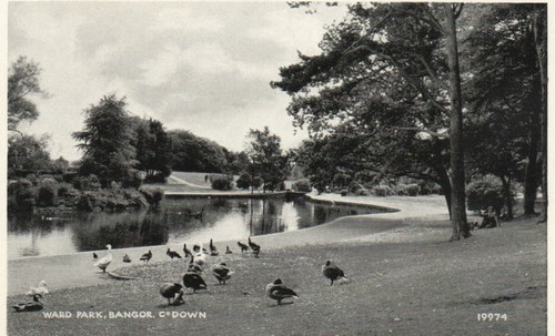Ward park bangor down - park,
