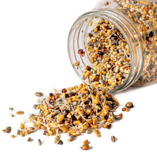 Healthy Parrot Food Quick