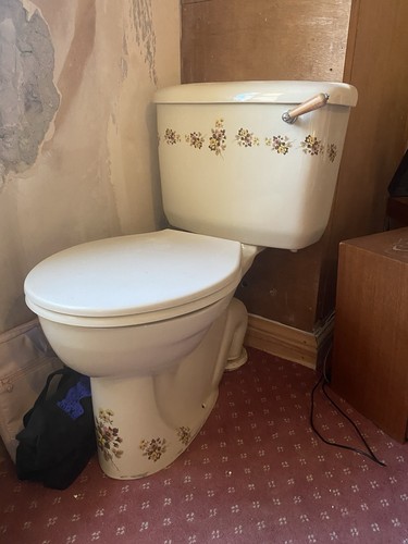 Vintage champagne toilet with - vintage,