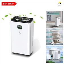 12L Dehumidifier for Home