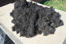 Huacaya Alpaca raw fleece 800g