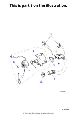 Jaguar genuine nut fastener - genuine,